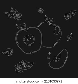 Vector Illustration, White Apple Outline with Leaves and Blossoms on Chalk board Background