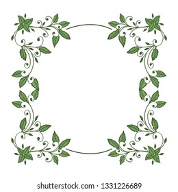 Vector illustration white background floral frame for greeting congratulation hand drawn