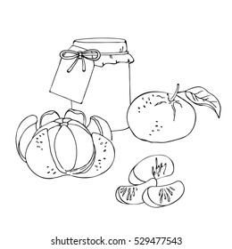 vector illustration white black of mandarin jam in jar and fruit