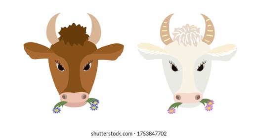 Vector illustration of white and brown cow.Isolated elements on white background.Flat,cartoon style