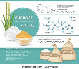 Vector illustration. White and brown sugar cubes in bowls. Structural chemical formula and model of sucrose