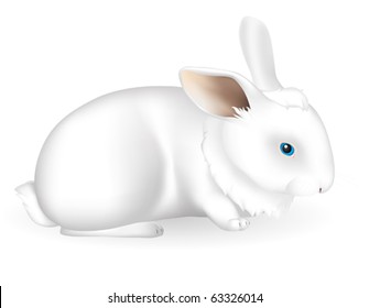 Vector Illustration of the  white bunny on a white background