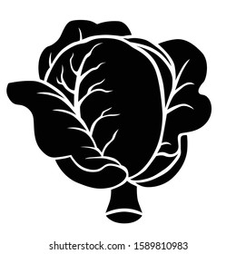 Vector illustration of white cabbage silhouette icon