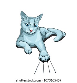 Vector illustration of a white cat with blue eyes scratching surface with its claws.