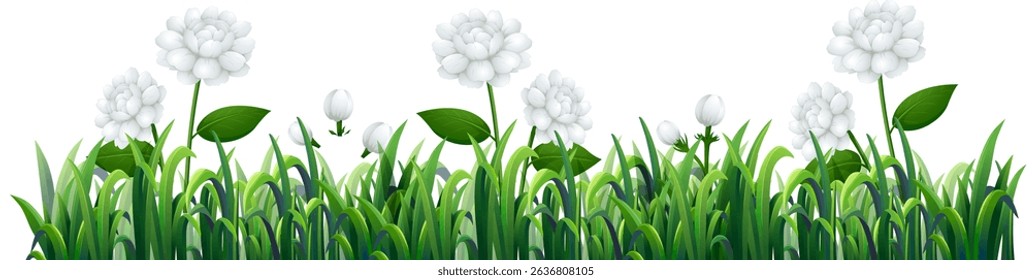 Vector illustration of white clover flowers amidst vibrant green grass. Detailed botanical style with bright, natural colors