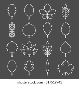 Vector illustration: white contours of different tree leaves (elm, beech, ash, linden, birch, alder, aspen, willow, maple,  poplar, rowan, hawthorn, walnut, apple etc.) isolated on black background