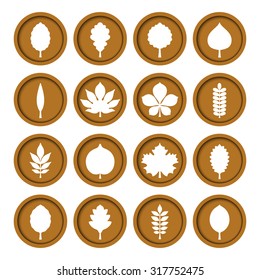 Vector illustration: white contours of different tree leaves (elm, beech, linden, birch, alder, aspen, willow, maple,  poplar, rowan, oak, acacia, chestnut, conker etc.) isolated on mustard background