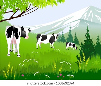 Vector Illustration. White cow with big black spots on a background of alpine meadows.
