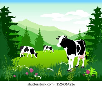 Vector Illustration. White cow with big black spots on a background of alpine meadows.
