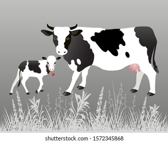 Vector Illustration. White cow with big black spots and a calf on a gray background.
