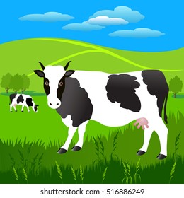 Vector Illustration.  White cow with big black spots on a background of grazing.
