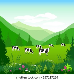 Vector Illustration. White cow with big black spots on a background of alpine meadows.