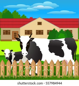Vector Illustration. White cow with big black spots. 