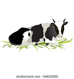 Vector Illustration. White cow with big black spots.
