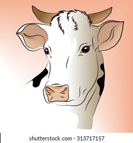 Vector illustration of a white cow. It can be used on the packaging or for the children's book