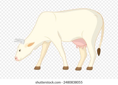 Vector illustration of white cow on transparent background