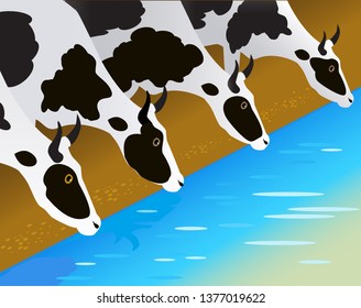 Vector Illustration. White cows with black spots drink water from the pond.
