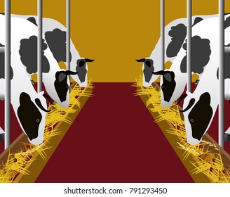Vector Illustration. White cows with black spots eat hay on the farm.