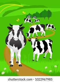 Vector Illustration. White cows with large black spots on the background of grazing.
