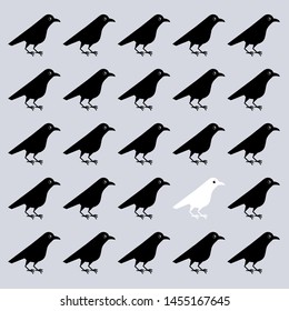 Vector illustration of white crow among black crows, unlike others, the interest of neighbors, outstanding unusual personality