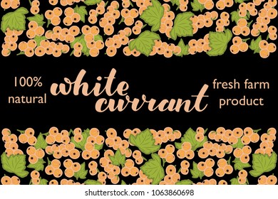 vector illustration of white currant berry and leaf design with lettering white currant background black and berry and text fresh farm product 100% natural for you EPS10