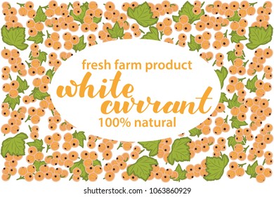 vector illustration of white currant berry and leaf design with lettering white currant background white and berry and text fresh farm product 100% natural for you EPS10