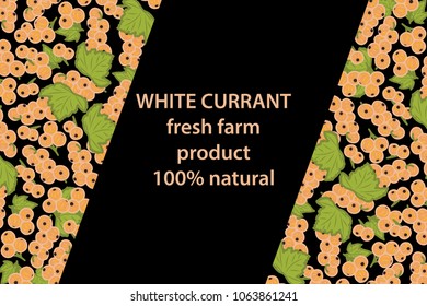 vector illustration of white currant berry and leaf design background black and berry and text fresh farm product 100% natural EPS10