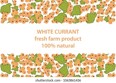 vector illustration of white currant berry and leaf design background white and berry and text fresh farm product 100% natural EPS10