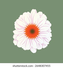 Vector illustration of a white daisy flower with orange center, symbolizing purity, freshness, and elegance. Ideal for floral designs, botanical decorations, spring or summer themed graphic projects.