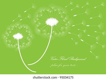 vector illustration with white dandelion silhouettes and place for your text isolated on green background