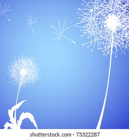 Vector illustration of white dandelions against blue background