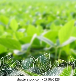 Vector illustration of white digital hand drawn soy plant leaves on blur realistic background of green soy field - vegan background template
