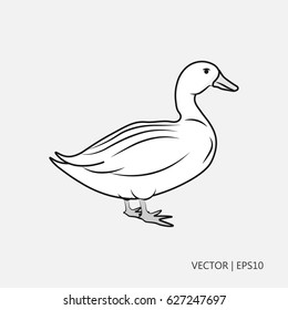 Duck Line Drawings Images Stock Photos Vectors Shutterstock Be sure to follow these colors to make him look like a real mallard. https www shutterstock com image vector vector illustration white duck simple icon 627247697