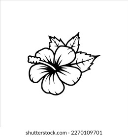  vector illustration of a white flower