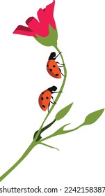 vector illustration of white flower with the insects .eps