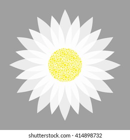 vector illustration of white flower on grey background