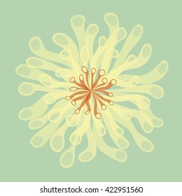 vector illustration of white flower on bluish background