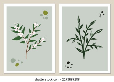 Vector illustration of white flower, pistil and green leaf with stem isolated in frame. Suitable for wall decoration, wallpaper, home decoration