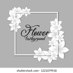 Vector illustration of white flowers on gray background. Floral frame