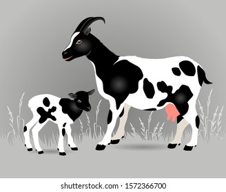 Vector Illustration. White goat with big black spots and a kid on a gray background.

