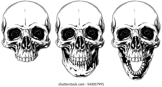 A vector illustration of White graphic human skull with black eyes set