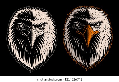 Vector illustration of white head eagle on the dark background.