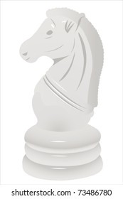 Vector illustration of white horse 