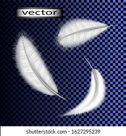 Vector illustration of white light and delicate bird feathers flying a lot or falling in a mess template collection of fluff flies
