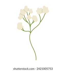 Vector illustration with white meadow flower