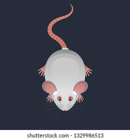 Vector illustration of the white mouse. Albino rat with bright red eyes.