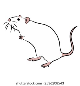 vector illustration of a white mouse on a white background, simple doodle, hand drawn