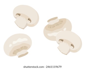 Vector illustration of white mushroom