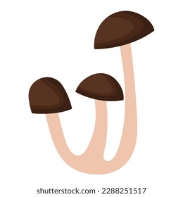 Vector illustration, white mushroom isolated on a white background. Porcini. Vegetarian mushrooms. Nature's darner for a healthy diet.