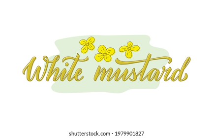 Vector Illustration Of White Mustard Lettering For Packages, Product Design, Banners, Stickers, Spice Shop Price List And Decoration. Handwritten Phrase With Floral Graphic Elements For Web Or Print
